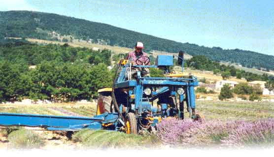 n5.jpg